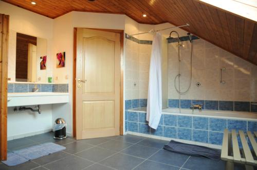 a bathroom with a shower and a shower curtain at Rotonde in Somme-Leuze