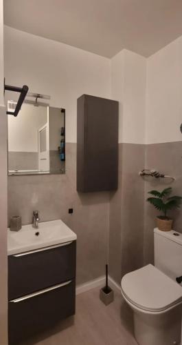 une salle de bain avec un lavabo, des toilettes et un miroir dans l'établissement Appartement cosy moderne calme hyper centre gare sncf, à Nice