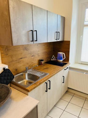 a kitchen with a sink and a counter top at Apartment tenX Mittweida in Mittweida