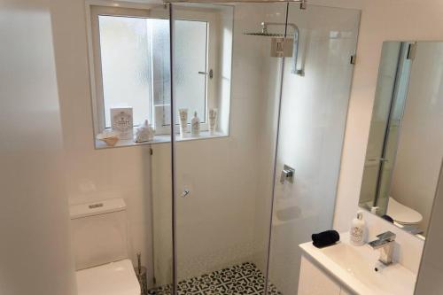 格莱内尔格Luxurious Beach Front Apt with Ocean View Balcony的带淋浴、马桶和水槽的浴室