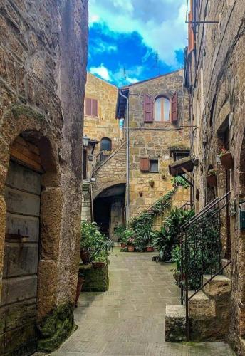 an alley in an old stone building with plants at casa il Girasole Pitigliano in Pitigliano