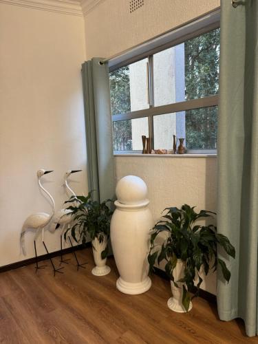 Φωτογραφία από το άλμπουμ του White River B & B σε White River