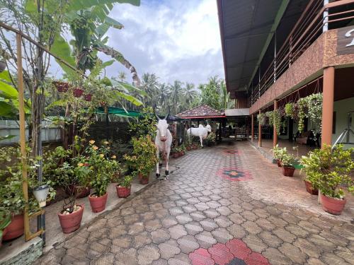 a building with a cow standing in the middle of a street at Karkera Family Homestay in Malpe