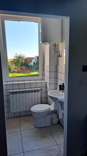 a bathroom with a toilet and a sink with a window at Noclegi Czentorycki 3 in Tyniec nad Ślęzą