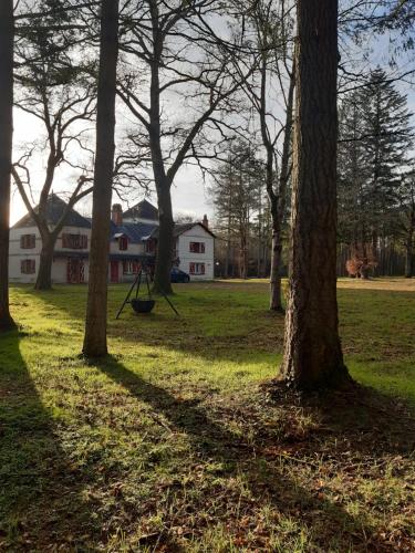 un parc avec des arbres et une balançoire en face d'une maison dans l'établissement Gîte La Croule, à Lamotte-Beuvron
