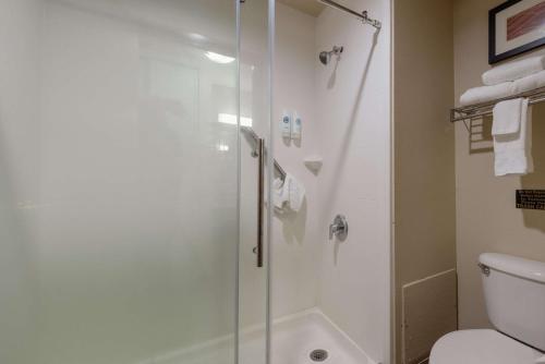 a bathroom with a shower and a toilet at Comfort Inn & Suites Alamosa in Alamosa