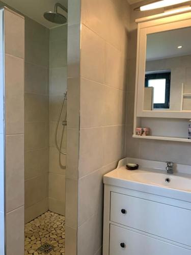 une salle de bain avec une douche, un lavabo et un miroir dans l'établissement Charme authentique et confort moderne, à Villemeux-sur-Eure