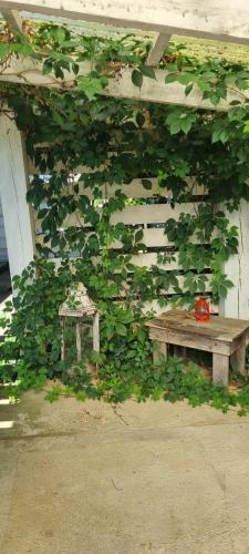 Jardín al aire libre en Cozy stay by Kaunas vila 9Vėjai
