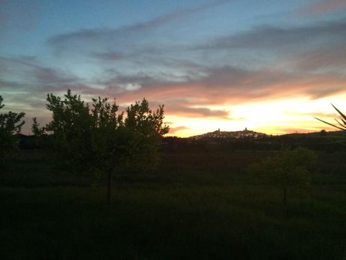 a sunset in a field with a tree in the foreground at Hostal Rural La Plata Parking Incluido in Arcos de la Frontera