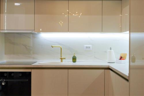 Kuchyň nebo kuchyňský kout v ubytování Palata Gold Apartment