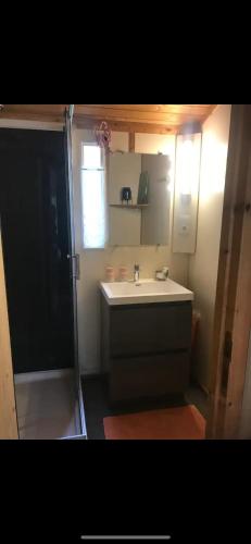 une petite salle de bain avec un lavabo et une douche dans l'établissement Le chalet fleuri aux 4 saisons, à Cazilhac