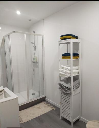 La salle de bains est pourvue d'une douche et d'une étagère avec des serviettes. dans l'établissement Bienvenue à la ferme, à Castanet-Tolosan