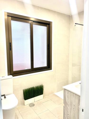 a bathroom with a toilet and a window with grass at Oviedo centro in Oviedo
