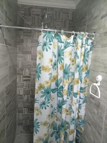 Bilik mandi di Perez guest house