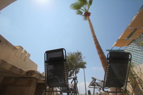 a palm tree next to a roller coaster at Holiday House in Paphos Tomb of the Kings in Paphos City