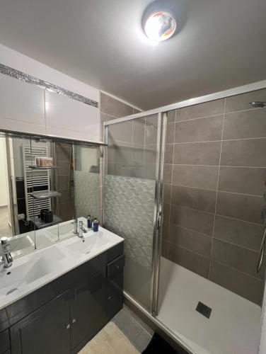 une salle de bain avec une douche, un lavabo et un miroir dans l'établissement Apparemment près de CDG Paris & Disneyland, à Tremblay-en-France