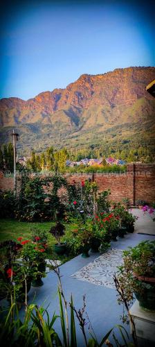 a garden with flowers and a mountain in the background at Zabarwan Peaks Villa in Srinagar