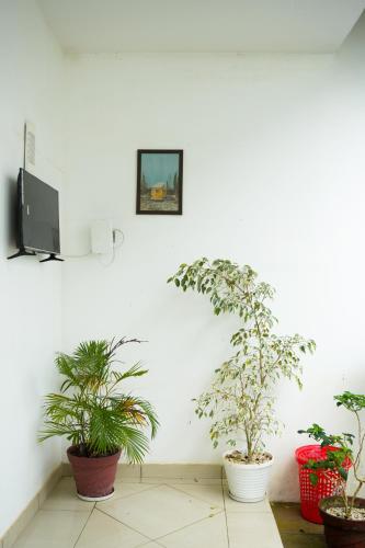 TV a/nebo společenská místnost v ubytování Lakkidi Mist Resort