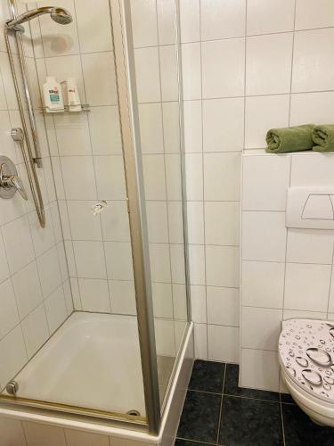 a shower with a glass door next to a toilet at Gartenapartment auf der Höri in Wangen in Öhningen