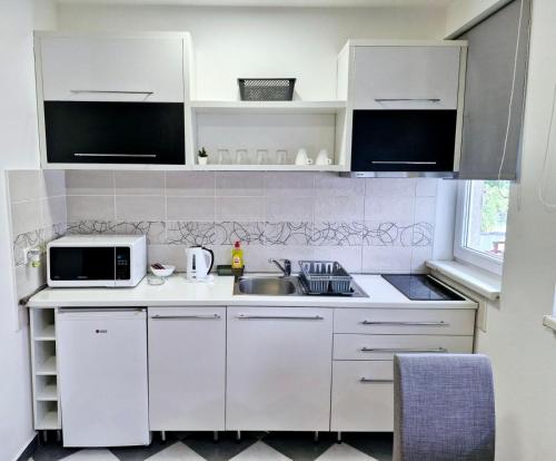 Kuchyň nebo kuchyňský kout v ubytování Apartman IDEA