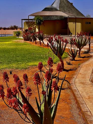 a group of plants in front of a building at Lapa Lange Game Lodge in Mariental