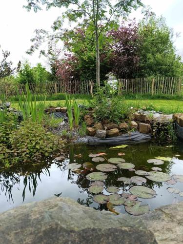 a pond with lily pads in a garden at Terre Happy in Wibrin