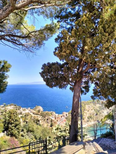 a tree on a hill with the ocean in the background at Casa Basilico' Taormina in Taormina