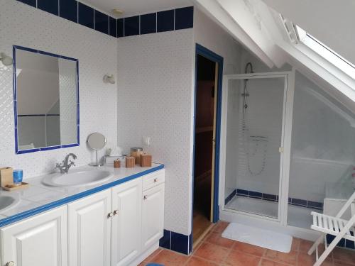 a bathroom with a sink and a shower at Chambres d'hôtes Kersonan in Saint-Jean-Brévelay