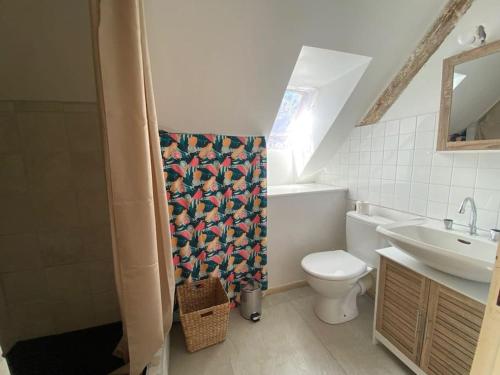 a bathroom with a toilet and a sink at Maison avec jardin proche du centre et des plages in Carantec