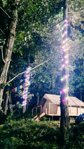a tree with a sparkler in front of a tent at Pema Dekey monastic guest house in Dirang Dzong