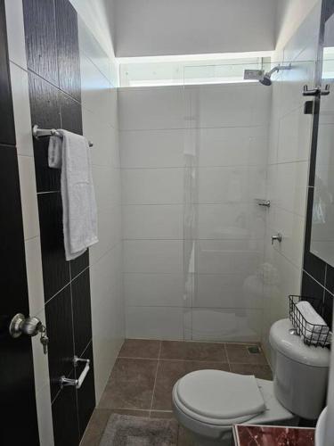 a white bathroom with a toilet and a shower at Disfruta el encanto llanero in Granada