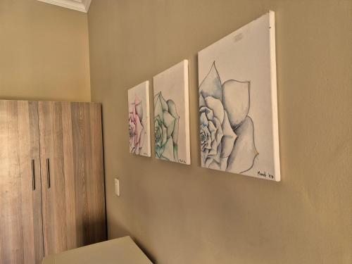 three drawings of flowers are hanging on a wall at Jakkalswater guest farm in Nababeep