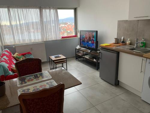 Il comprend un salon doté d'une cuisine et d'une télévision. dans l'établissement Colmar TOP, à Colmar