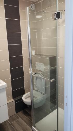 La salle de bains est pourvue de toilettes et d'une porte de douche en verre. dans l'établissement Colmar TOP, à Colmar