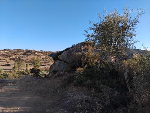 Un paisaje natural cerca del departamento