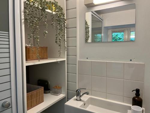 une salle de bain avec un lavabo et un miroir dans l'établissement Maison de ville rare vu château, à Caen