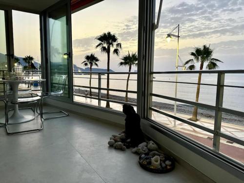 a dog sitting on the floor looking out a window at the beach at Beachfront, First line, 2-Bdr,2-Bath, Swiming Pool in Albir