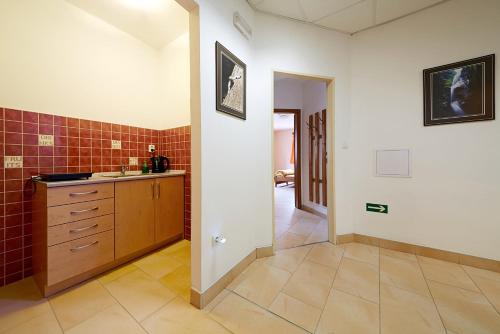 a kitchen with a sink and a counter in a room at Penzion U Karabiny in Adršpach