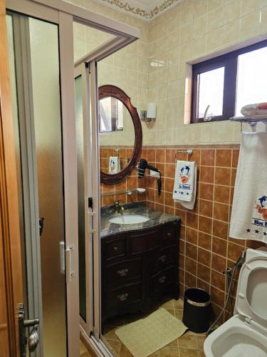 a bathroom with a sink and a mirror and a toilet at Blue Rawal in Bain Boeuf