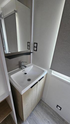 une salle de bain avec un lavabo et un miroir dans l'établissement Charmant mobil-home premium 174, à Narbonne
