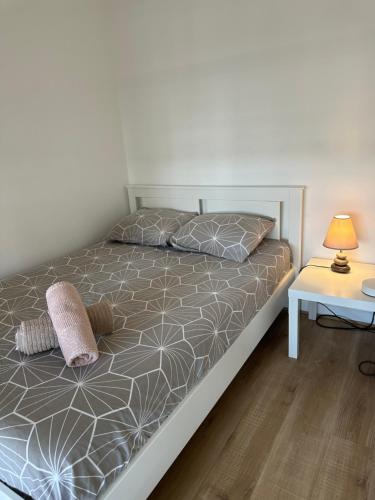 10 minutes walk from the beautiful Eiffel Tower