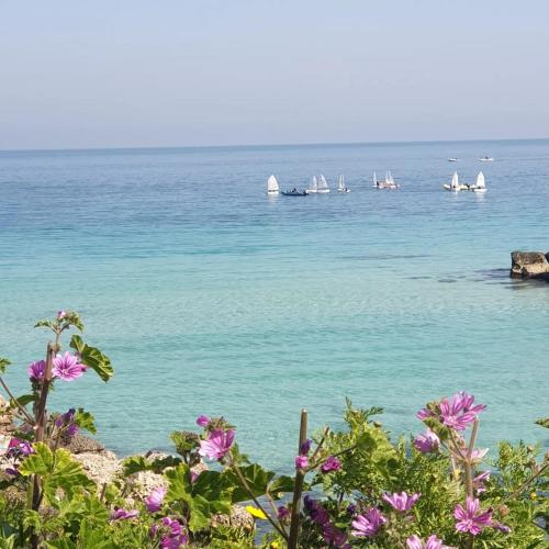 a group of boats in the water with flowers at Don Ignazio in Monopoli