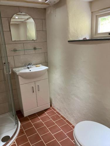 Un baño con lavabo, inodoro y espejo. en Studio in medieval Welsh farmhouse, en Aber Cowarch