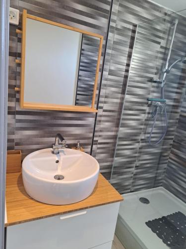 une salle de bain avec un lavabo et une douche dans l'établissement Port Brescou, T3 en duplex climatisé, superbe vue sur le port, au Cap d'Agde