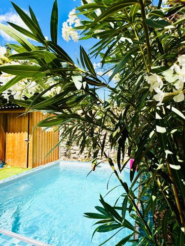 un arbre aux fleurs blanches près d'une piscine dans l'établissement maison luxueuse avec piscine privée chauffée, à Bordeaux