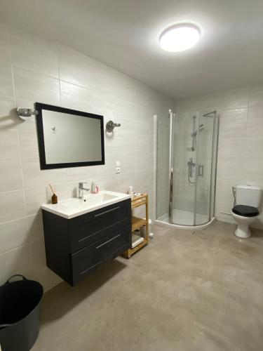 a bathroom with a sink and a shower and a toilet at Villa "les vacances" in Les Plans