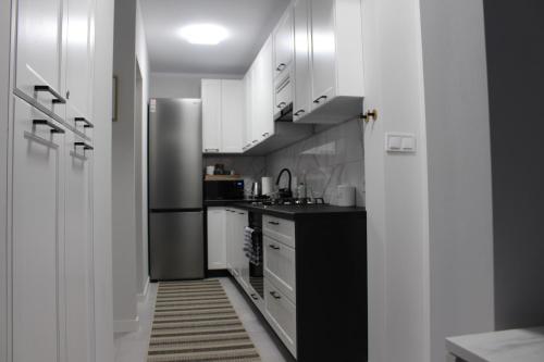 Kuchyň nebo kuchyňský kout v ubytování Apartament Euro Bytom