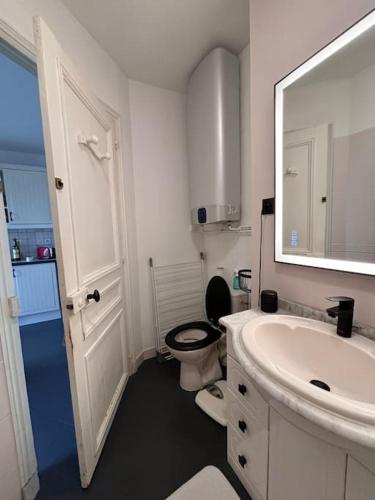 une salle de bain avec toilettes, lavabo et miroir dans l'établissement Appt 4pers à 150m du métro École vétérinaire - aux portes de Paris et Disney !, à Maisons-Alfort