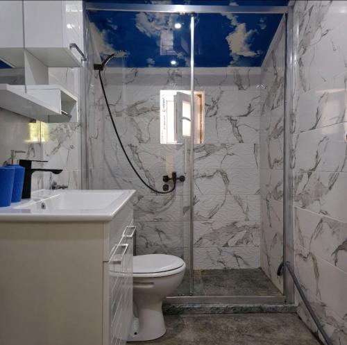 a bathroom with a shower and a toilet and a sink at Apartment Center 23 in Podgorica