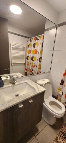 une salle de bain avec toilettes, lavabo et miroir dans l'établissement Edificio Costa Pucón a pasos del Lago, à Pucón